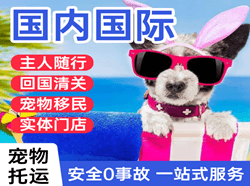 广州机场空运国际宠物托运 【国